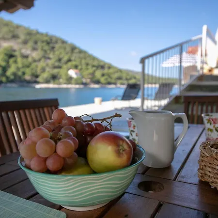 Hébergement de vacances Waterfront House Stoncica Vis