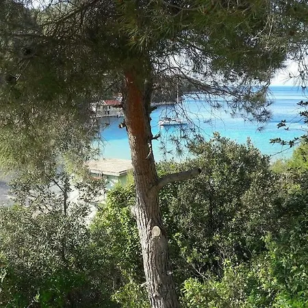 Waterfront House Stoncica Hébergement de vacances Vis